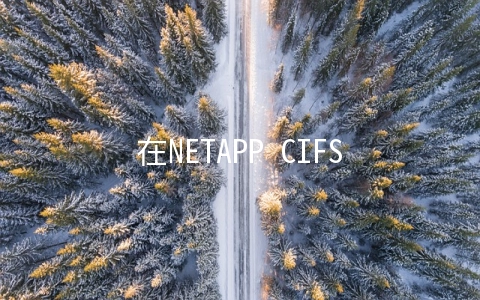 在NETAPP CIFS文件夹中强制修改权限的方法