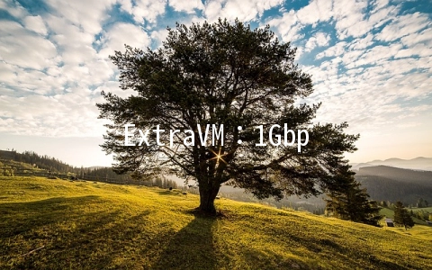 ExtraVM：1Gbps不限流量VPS月付3.5美元起,AMD Ryzen系列,多机房可选
