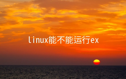 linux能不能运行exe文件