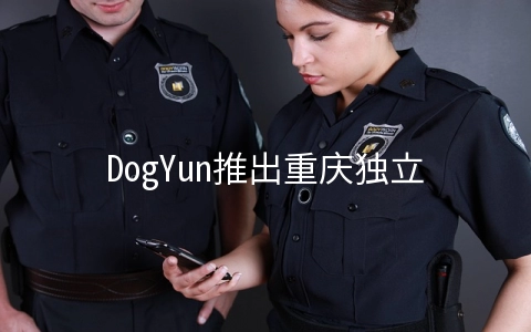 DogYun推出重庆独立服务器月付200元起,E5-2630v4/64GB内存/800G SSD硬盘